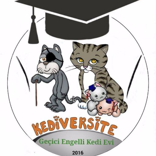 kediversitee's profile picture. Geçici Engelli Kedi Evi
KARABÜK  ÜNİVERSİTESİ HAYVAN HAKLARI KULÜBÜ KURULUŞUDUR. 
İnstagram:kediversite