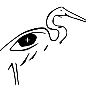 Egret_plus's profile picture. EGRET(+)  the European Glaucoma Research Training Program  aims to:
a) acquire knowledge on glaucoma and the aging visual system
b) innovate glaucoma care