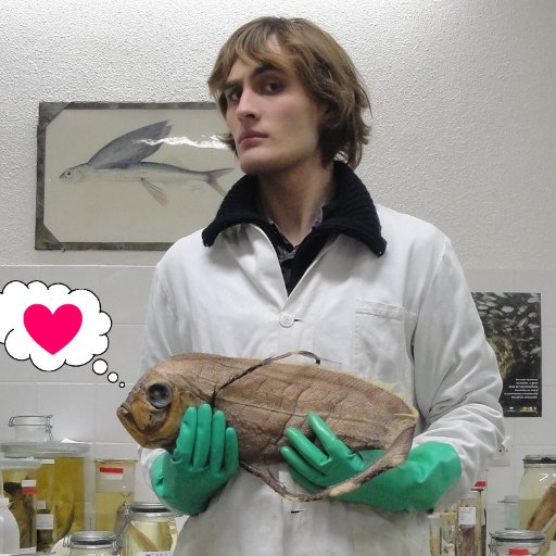 Research fellow @mfnberlin and @le_museum, vertebrate systematics and palaeobiology. Likes ray-finned things. He/him