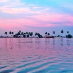 traveIgoalss's profile picture. 