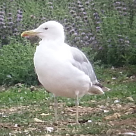 stanwicktramp's profile picture. 