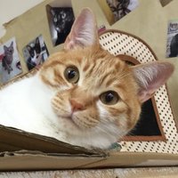 yuuyuu (PI) (@yuuyuuyuuyuu10) 's Twitter Profile Photo