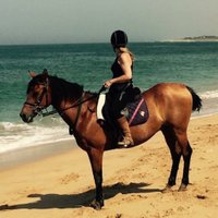 thefelinetraveller (@saffrongirl2) 's Twitter Profile