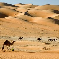 ضرغام (@mmll_001) 's Twitter Profile