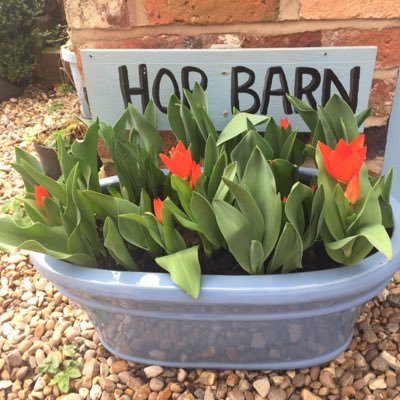 The Hop Barn is an idyllic retreat in South Shropshire, ideal for walking or simply relaxing & stargazing! https://t.co/3q7F5PsUiL