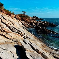 olenyka84's profile picture. 