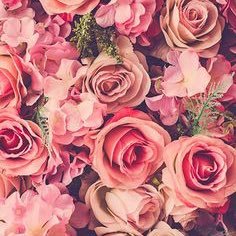 NoorBalkhair's profile picture. 