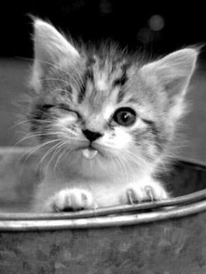 Mightythor4's profile picture. Fun loving workahloic.