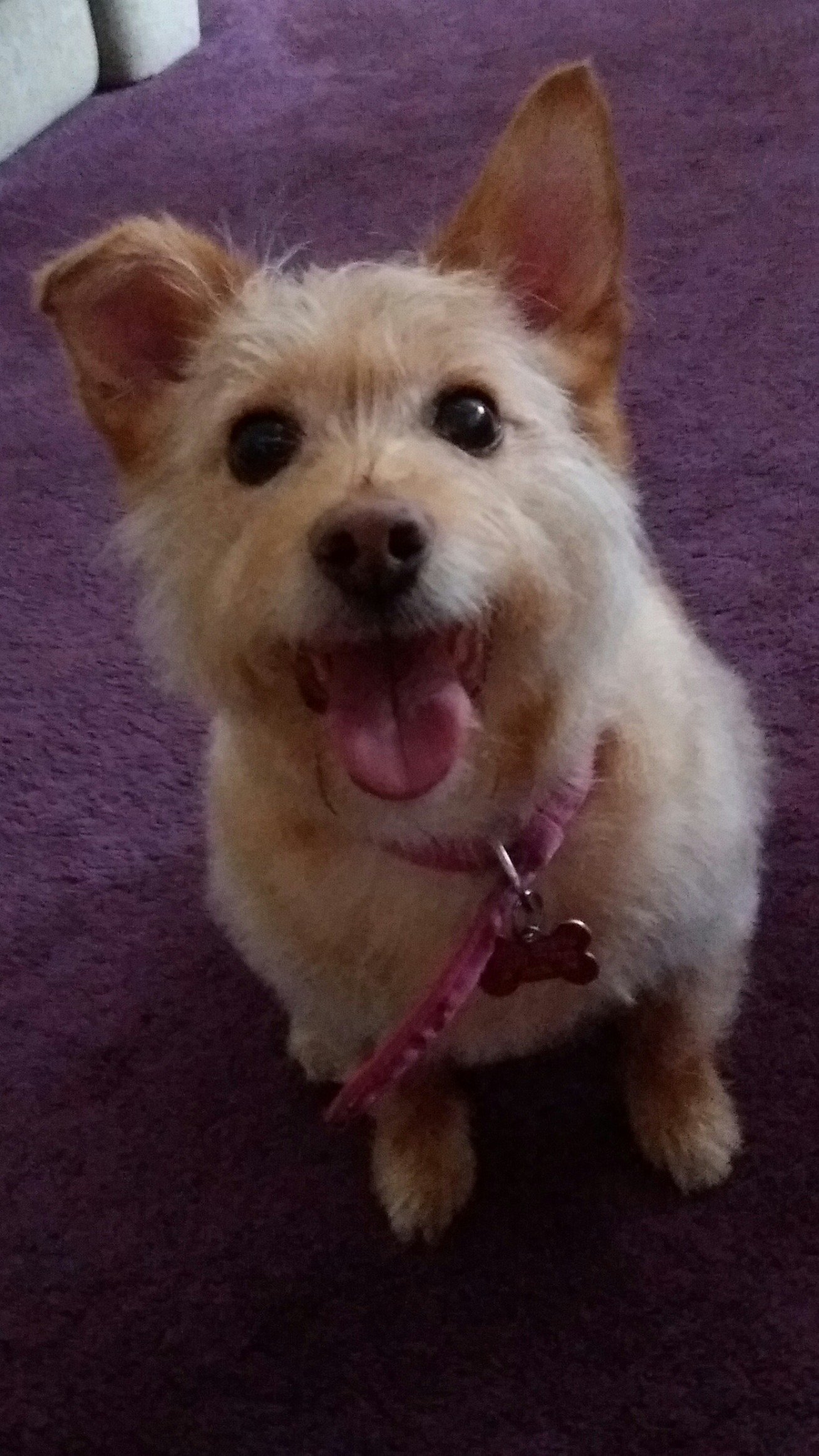 Rachellomate's profile picture. 