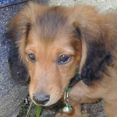 bee8yu's profile picture. 東海高校67th→河合塾名駅校→富大卒