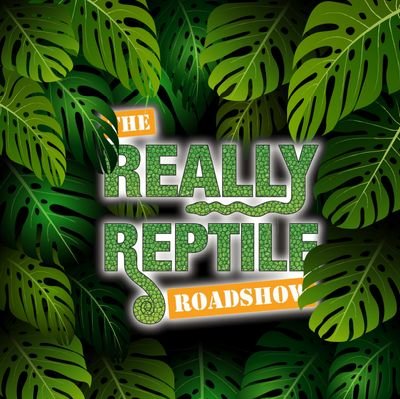 JosLeggett's profile picture. South West and West Wales first creative outreach, educational events project with a 'hands on' reptile workshop experience.