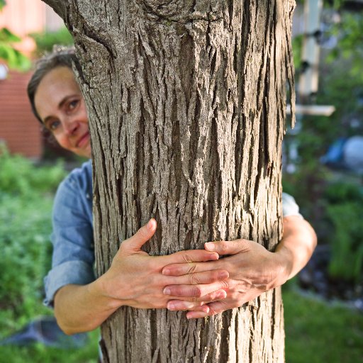 regenepreneurs's profile picture. Providing coaching, education, and a community so you can thrive in your regenerative right livelihood. #regenepreneurs