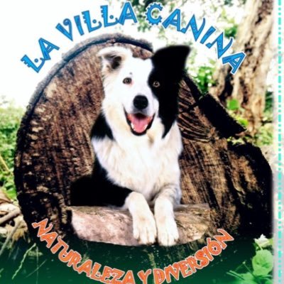 HOTEL Y GUARDERIA ESPECIALIZADA LA VILLA CANINA