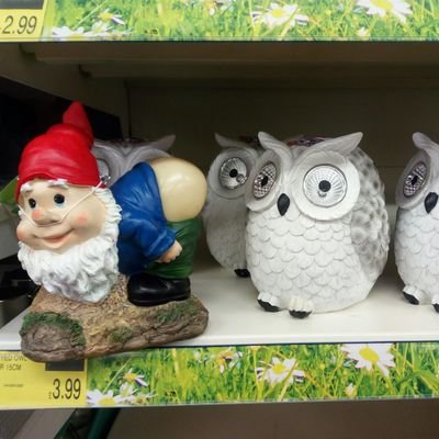 zeezeecroc's profile picture. Life long Blade Dalmation Dad, lover not a fighter unless you piss me off,and spellings not my strong point.