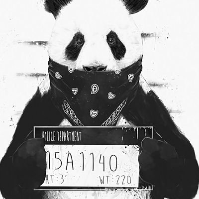 OuegihLeCannet's profile picture. 