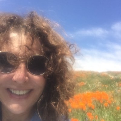 annbridges's profile picture. 