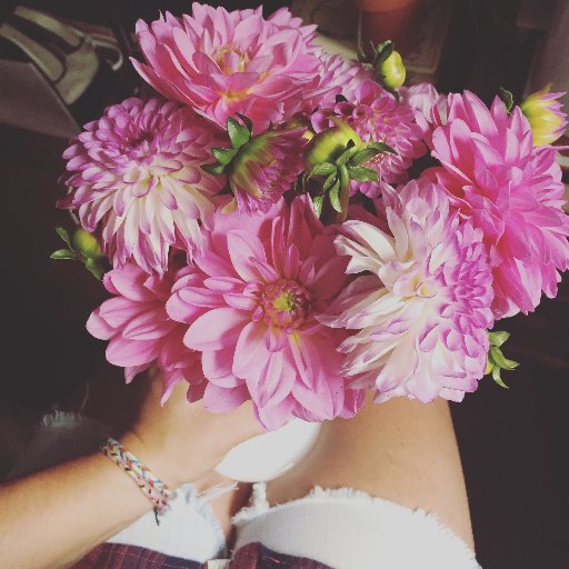 WildaMclellan's profile picture. Wilda's Floral Studio--Floral Design--Weddings--Events-- I owned and operated a successful flower shop in Toronto's Kensington Market. Now I'm studio styling!