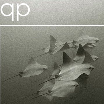 qpsound's profile picture. get down or get down