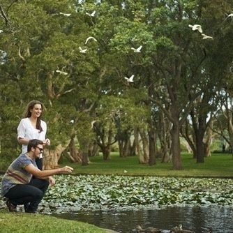 ryna931's profile picture. Travel Food Sports