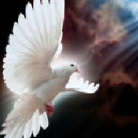 TruthSeeker (@soulpostings) 's Twitter Profile Photo