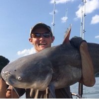 Justin (@kayakcatfish) 's Twitter Profile