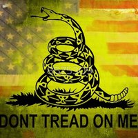 🇺🇸R3DPILLRebel🇺🇸 ▄︻̷̿┻̿═━一 (@r3dpillrebel) 's Twitter Profile