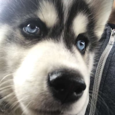 oscmarin18's profile picture. 