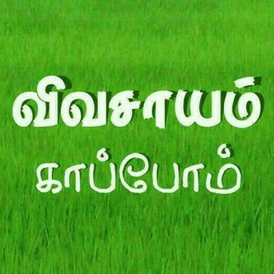 thambi366's profile picture. 