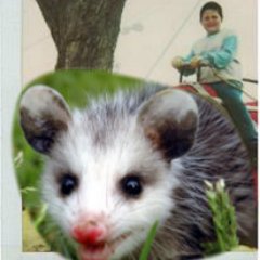 ILLLLLEAGLE's profile picture. https://t.co/3VqnGD7C6W

https://t.co/GrNd1gM2VH