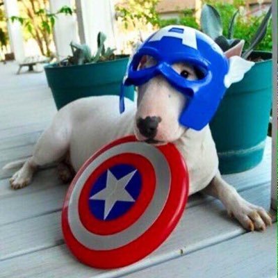 chevroletapache's profile picture. Chevrolet Apache 3100 Task Force Chevy COE Truck Pick Up & Pin-Up girls & Santa Cruz SkateBords & Classics BMX FreeStyle