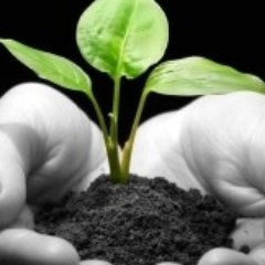 Taking feedback from past, doing changes in present and planning for better future. web design & Dev/Digital marketing/Data science.