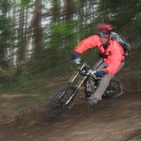HALZOO (@halzoo) 's Twitter Profile