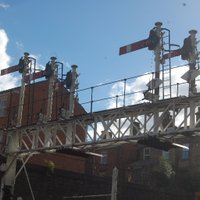 David Maxwell (@dmax229) 's Twitter Profile