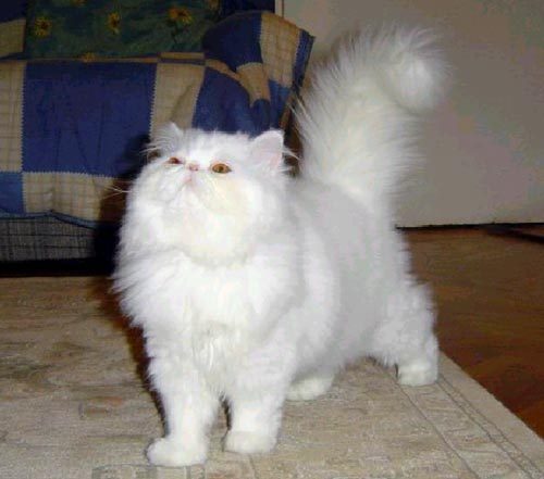 samsemsem's profile picture. 