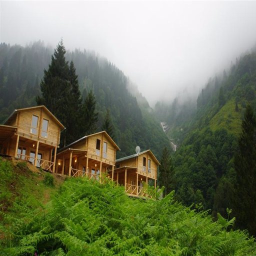 NorthTurkey2017's profile picture. 