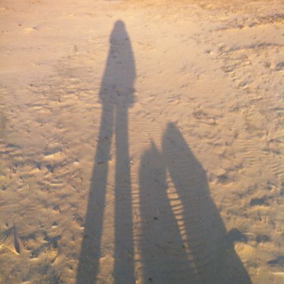 ZaehnchenGC's profile picture. Kaffeesüchtige Dosenfummlerin mit Hang zu einer ungesunden Portion Wahnsinn und einem großen Mitteilungsbedürfnis, T5-Zahn, Kämpferin für den täglichen Flausch.