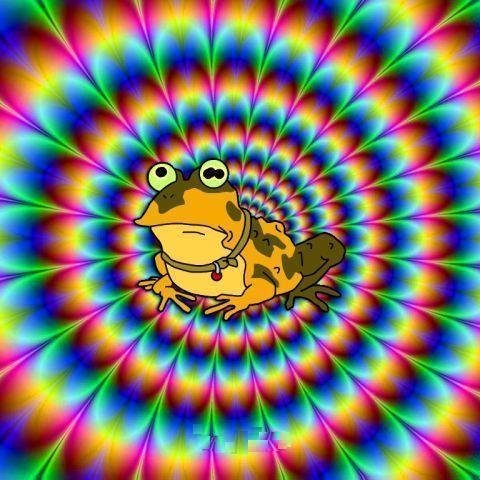 MargauxCauvin's profile picture. ALL GLORY TO THE HYPNOTOAD 🐸