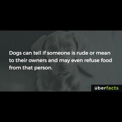 caniquitnow1's profile picture. 