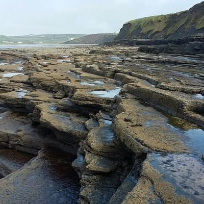 bairbles's profile picture. 