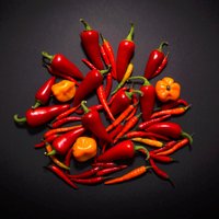 Gusto Artisan Foods (@gustoartisan) 's Twitter Profile Photo Gusto Artisan Foods (@gustoartisan) 's Twitter Profile Photo