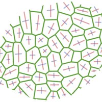 Plant Morphodynamics (@plantmorphodyn) 's Twitter Profile Photo Plant Morphodynamics (@plantmorphodyn) 's Twitter Profile Photo