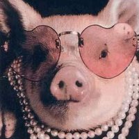 Elke✝️ (@frankenzicke) 's Twitter Profile Photo Elke✝️ (@frankenzicke) 's Twitter Profile Photo