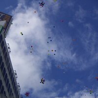 りえだたき (@elhi_k) 's Twitter Profile