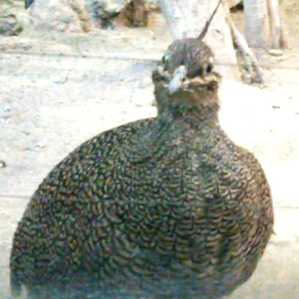 tyみのるさんのプロフィール画像