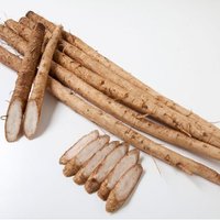 残念なごぼうさんは横浜ありがとう (@bungou_sakur) Twitter profile photo