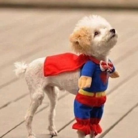 i9n0re's profile picture. xxxx