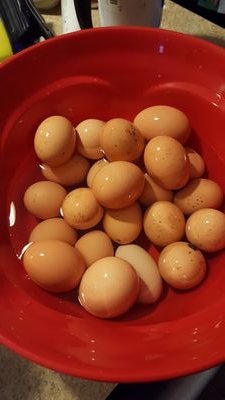 BumpassNuggets's profile picture. Fresh eggs, recipes, homesteading for the busy family, and some nerd love.
