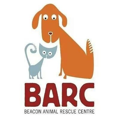 BeaconARC's profile picture. Rescuing & rehoming Dogs & Cats across the UK. Our passion for helping animals knows no borders, we specialise in Romanian rescue work. https://t.co/Y8Xzch4WwG