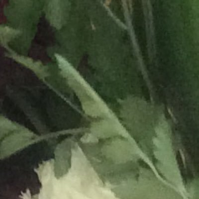 Raaar33316228's profile picture. 