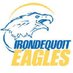 IrondequoitDiversity (@wihsmosaic) Twitter profile photo IrondequoitDiversity (@wihsmosaic) Twitter profile photo